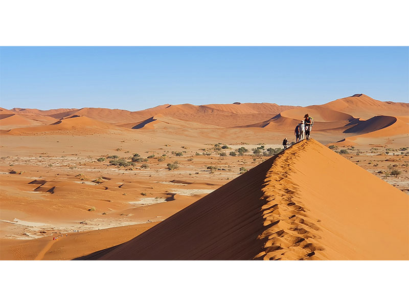 Walking in the Desert on our Namibia Tailor Made Tours.