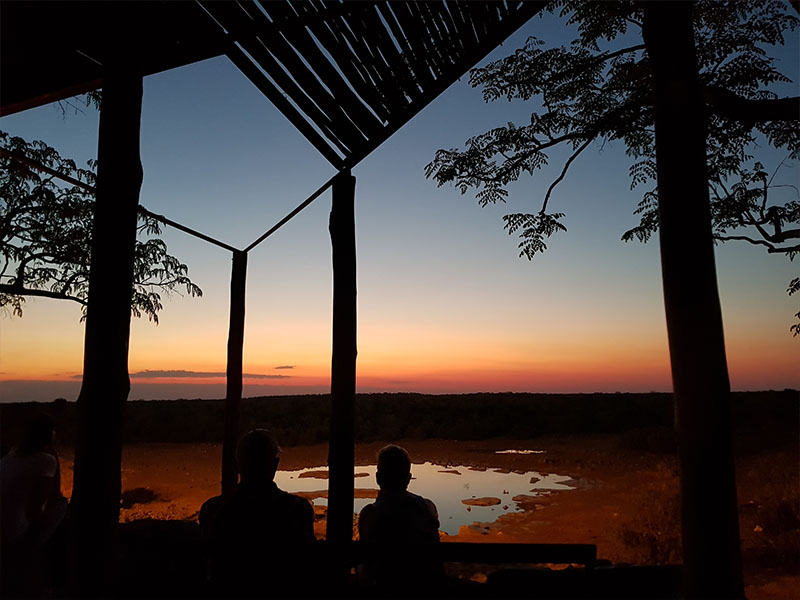 Namibia Tailor Made Safari Tours